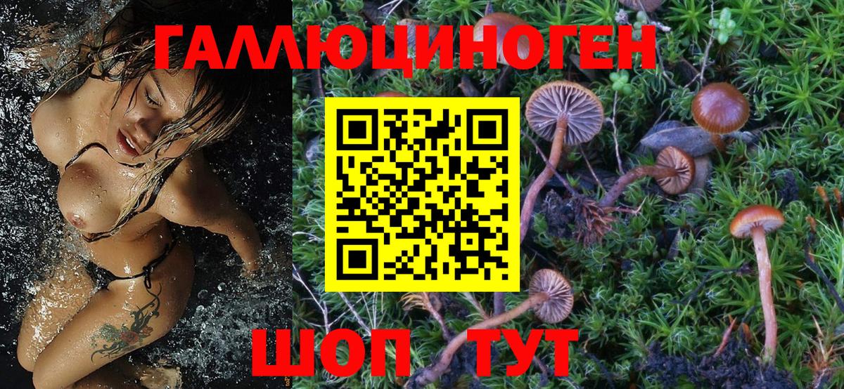 Псилоцибиновые грибы Magic Shrooms Ижевск